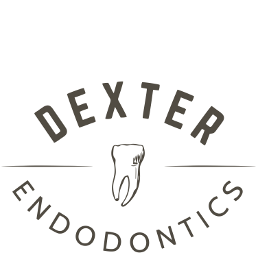 Dexter Endodontics – Matthew G. Healy DDS MS